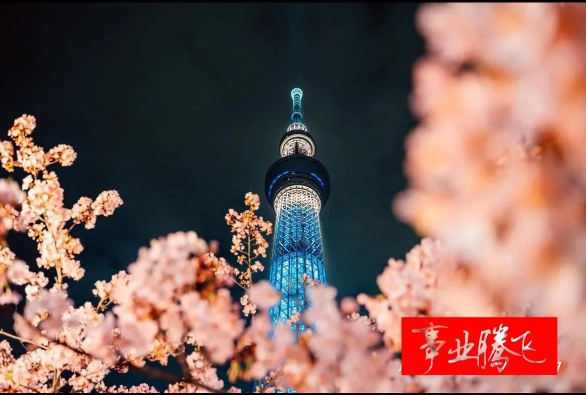 Sky House 晴空塔103 Appartement Tokio Japan